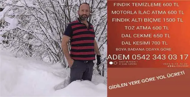 FINDIK BAHÇESİ TEMİZLİK İŞLERİ VE BOYA BADANA YAPILIR