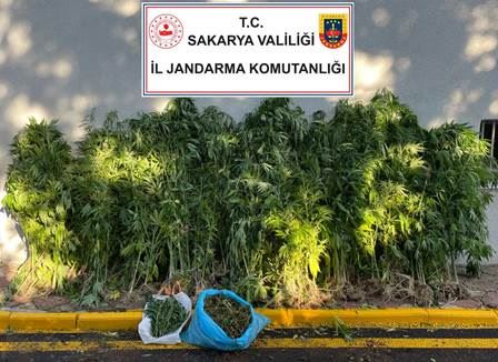 HASADI JANDARMA YAPTI