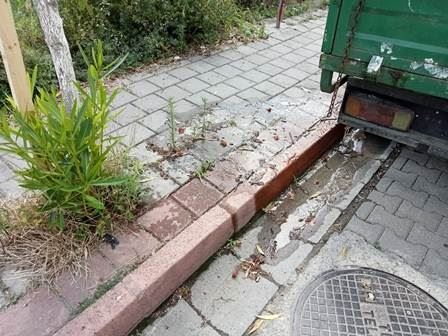 SASKİ SEN NE İŞ YAPARSIN?