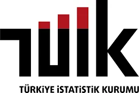 Yurt İçi Üretici Fiyat Endeksi, Mayıs 2024