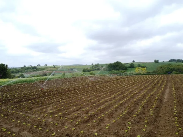 Sakarya’da 2025 Yılı Sulama Sezonu Başladı