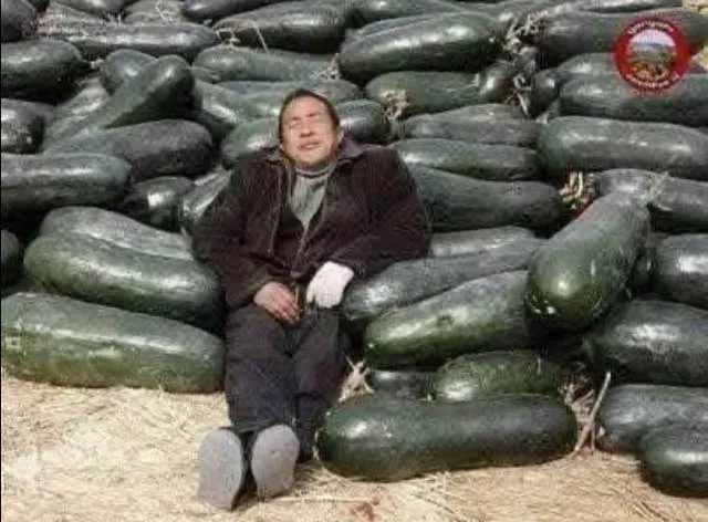 HIYAR AĞASI...!