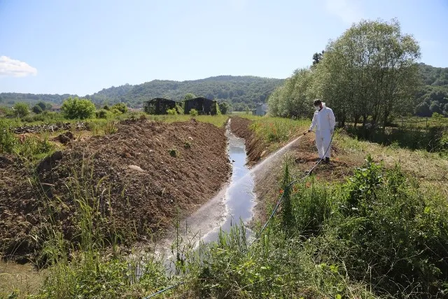 HENDEK BELEDİYESİ’NDEN LARVA İLE ETKİN MÜCADELE