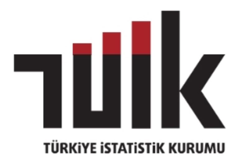 Girişimlerde Bilişim Teknolojileri Kullanım Araştırması, 2022