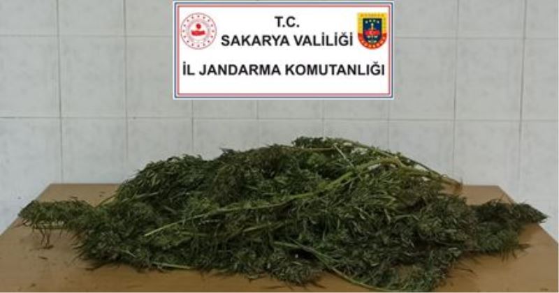 YARICA’DA 3.500 GR KUBAR ESRAR  ELE GEÇİRİLDİ 1 KİŞİ GÖZALTINDA