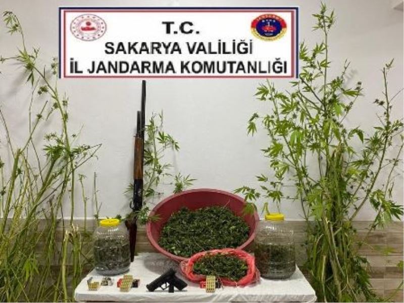 JANDARMA KARASU