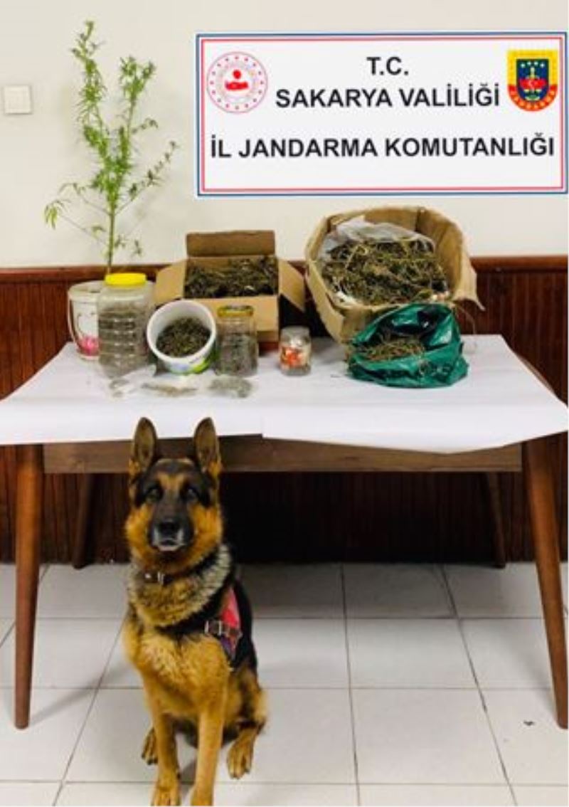 JANDARMA BU! KARŞINIZA NEREDE NE ZAMAN ÇIKAR BİLİNMEZ…