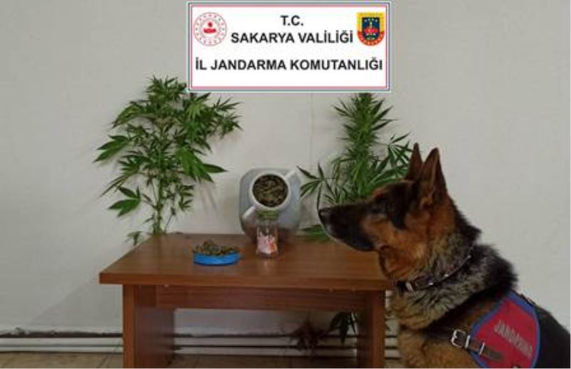 JANDARMA BU KEZ AKYAZI’DA!