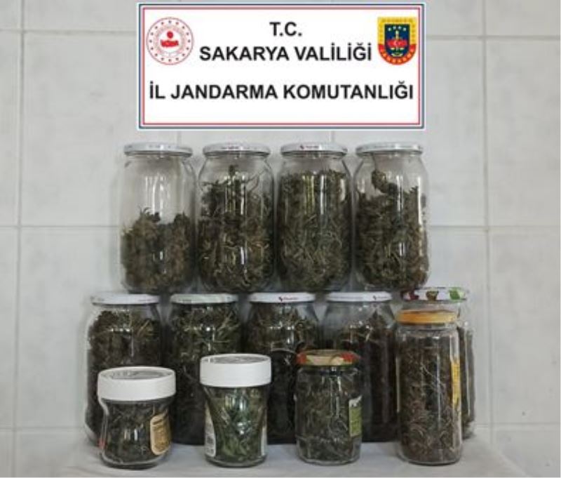 JANDARMA BU KEZ  TÜRBEDE ORTAYA ÇIKTI
