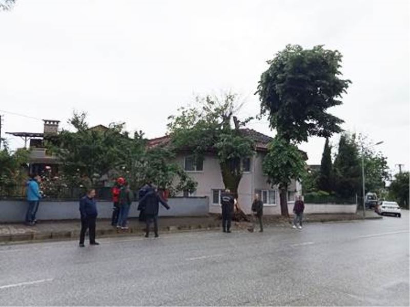 FIRTINANIN ŞİDDETİNE DAYANAMADI